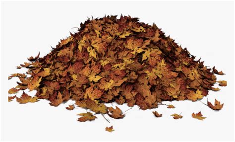 Pile Of Leaves Clip Art, HD Png Download - kindpng