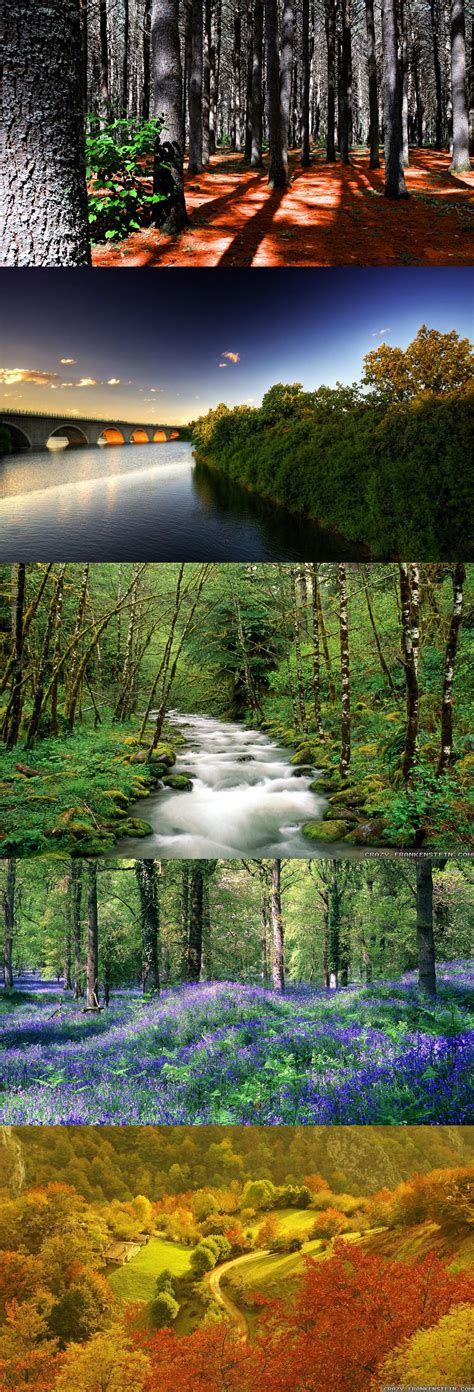 The Royal Forest of Dean, England | Forest of dean, Forest, England