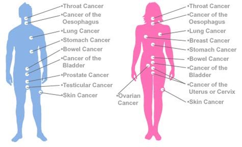 Cancer | Causes of Cancer - NCERT | PMF IAS