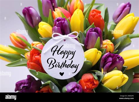 Beautiful bouquet of tulip flowers with Happy Birthday card on light ...