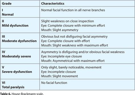 Facial palsy causes – Telegraph