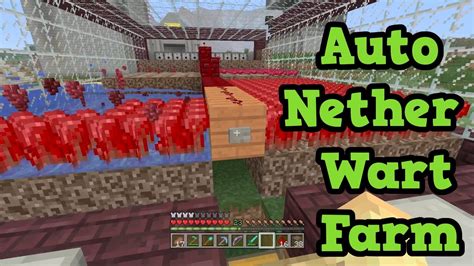 Automatic nether wart farm