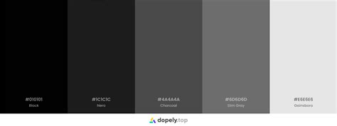 10 Black Color Palette Inspirations with Names & hex Codes! | Inside Colors