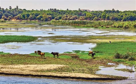 Mighty Nile River under threat in Egypt