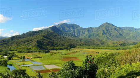 Pan, Hanalei Valley Lookout, Taro fields, Kauai, Hawaii - Stock Photo ...