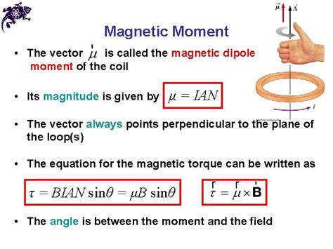 Chapter 29 Magnetic Fields Magnets In each magnet