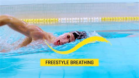 Freestyle Breathing – How to breathe while swimming – WeightBlink