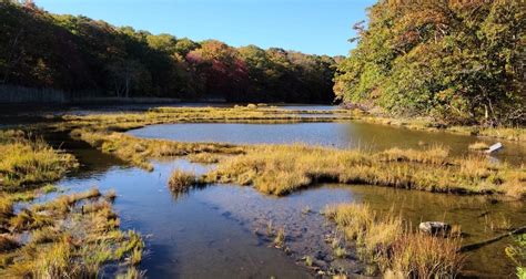 Rocky Neck State Park - Go Wandering