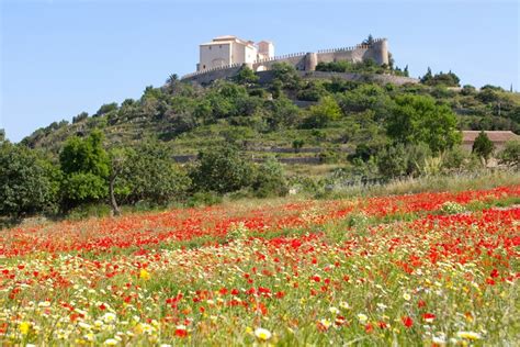 Arta, Mallorca | SeeMallorca.com