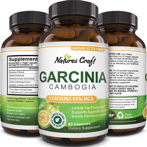 Garcinia Cambogia 95% HCA Hydroxy Supplement Weight Loss Diet Pills Fat ...