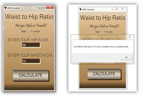 Waist to Hip Ratio Calculator | SourceCodester