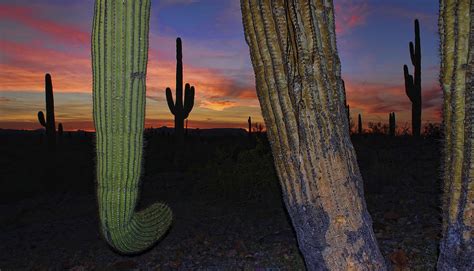 Tres Hombres Photograph by Ryan Seek - Fine Art America