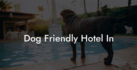 Dog Friendly Hotels Elkhart In at Patricia Lambert blog