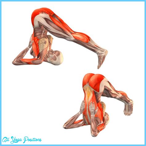 The Plow, Halasana - AllYogaPositions.com