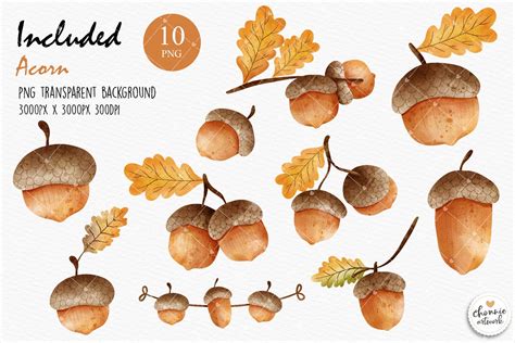 Acorn Clipart Autumn Leaves Clipart Fall Leaves Clipart - Etsy