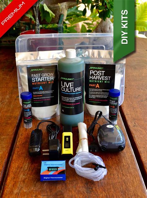 Premium Spirulina DIY Farming Kit - Spirulina Grow Co Australia