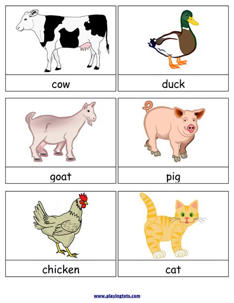 Farm Animals Flashcards For Preschool