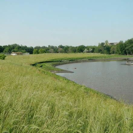 Riparian zone restoration - Native Plant Solutions