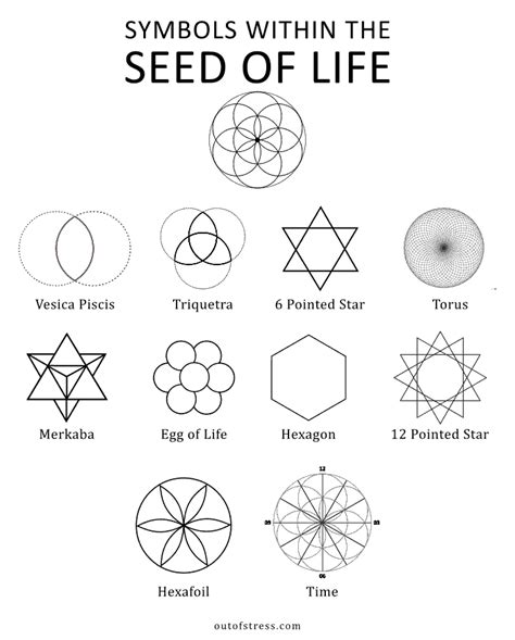 Circle Of Life Symbol