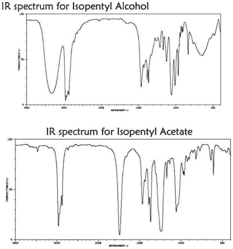 ir spectrum for isopentyl alcohol ir spectrum for isopentyl acetate 10662