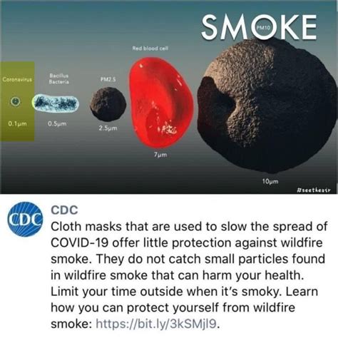 cloth-masks-offer-little-protection-against-wildfire-smoke | Waikanae Watch