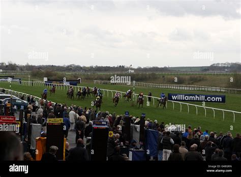 Horse Racing - Catterick Racecourse Stock Photo - Alamy