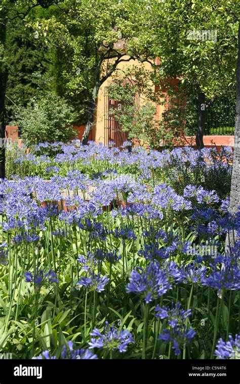 Real Alcazar Gardens Stock Photo - Alamy