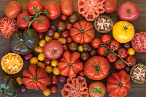 With so many varieties of tomatoes, which should you use in your next ...