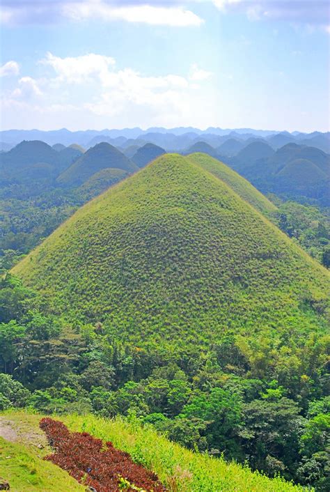 Counting Chocolate Hills | Bohol - Nomadic Experiences