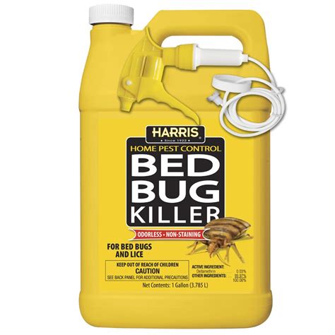 Blackjack Bed Bug Killer Spray - mysteryrenew