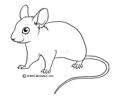 Free lines - Mouse by Avanii on DeviantArt