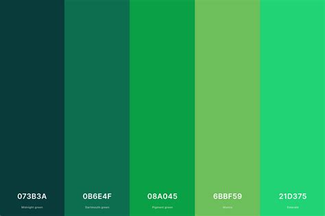 35+ Best Green Color Palettes with Names and Hex Codes – CreativeBooster