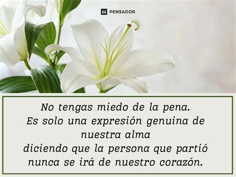 Frases y mensajes de pésame y condolencias para ayudar y dar consuelo ...