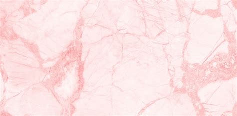 Background Marmore Rose Christmas rose marble background images