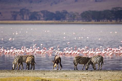 Attractions in Lake Nakuru National Park | Lake Nakuru Safaris