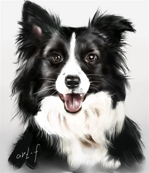 Realistic digital Dog Portrait | Dog portraits, Dog drawing, Border ...