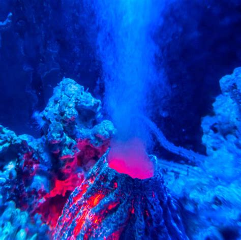 1,800+ Underwater Volcanoes Stock Photos, Pictures & Royalty-Free ...