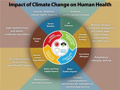 How Climate Change Impacts Our Health | Dialogue Blog | Research ...