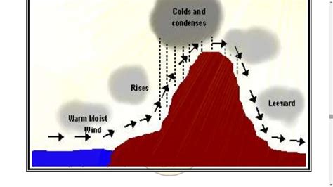 [Solved] . Windward Windward Windward Leeward Leeward Leeward Elevation ...