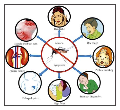 Illustration of some common symptoms of malaria. | Download Scientific ...