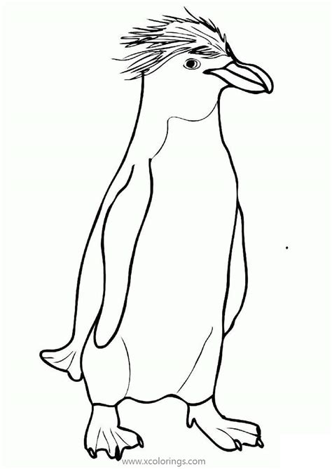 Fiordland Penguin Coloring Pages - XColorings.com