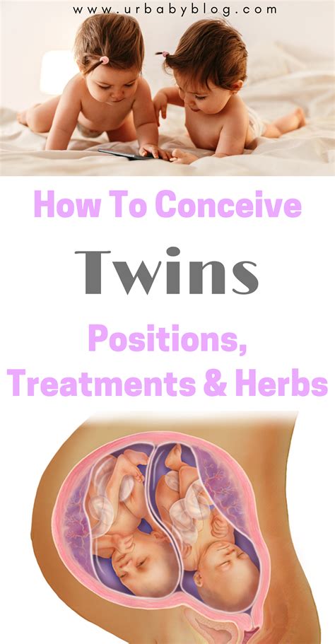 How To Conceive Twins – Positions, Treatments & Herbs - Ur Baby Blog ...