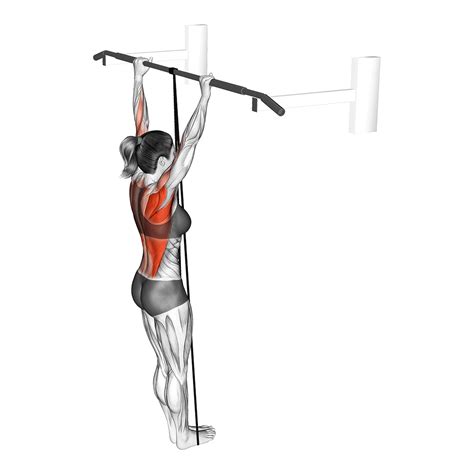 Negative/Eccentric Pull Ups: The Purpose Explained - Inspire US