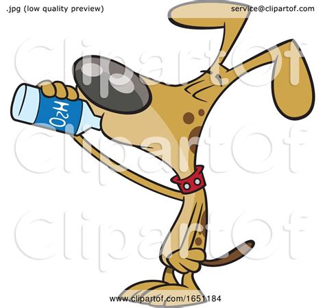 Cartoon Thirsty Dog Drinking Water by toonaday #1651184