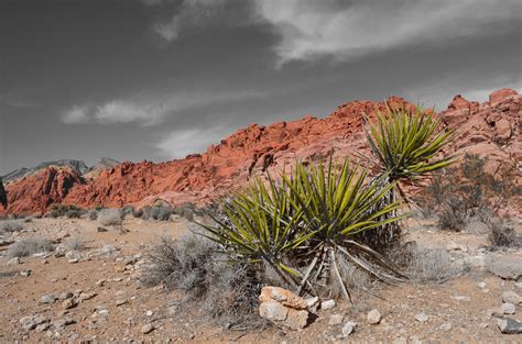 Red Rock National Park, Nevada by Jason M. Kovac Lucky Girl, Red Rock ...