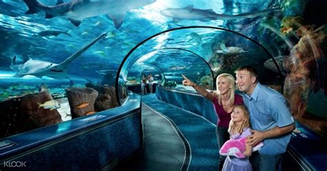 Ripley's Aquarium of Myrtle Beach Combo Ticket - Klook US