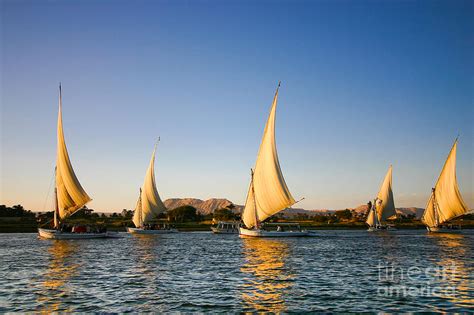 Felucca On The Nile River Photograph by Jeffrey Liao