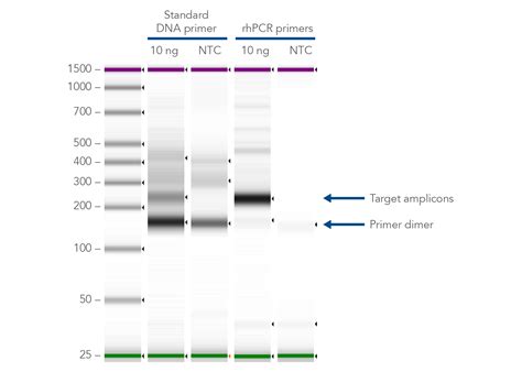 RNase H-dependent PCR (rhPCR) - Reduce Primer Dimers | IDT