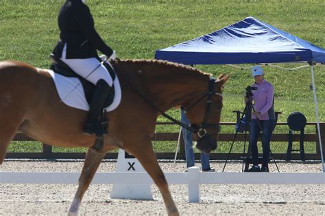 First Look: The 2019 USDF and US Equestrian Dressage Tests ...