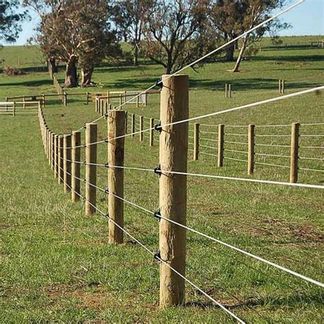 Incredible How Many Volts Is An Electric Fence For Horses References